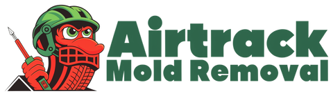 Airtrack Mold Removal